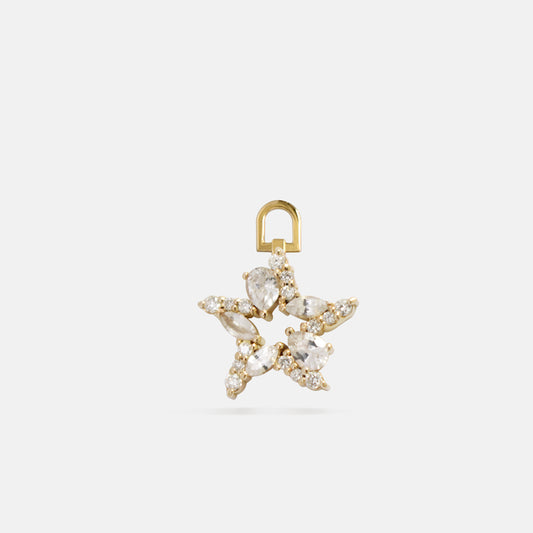Wild Star Charm in Diamonds & White Sapphires